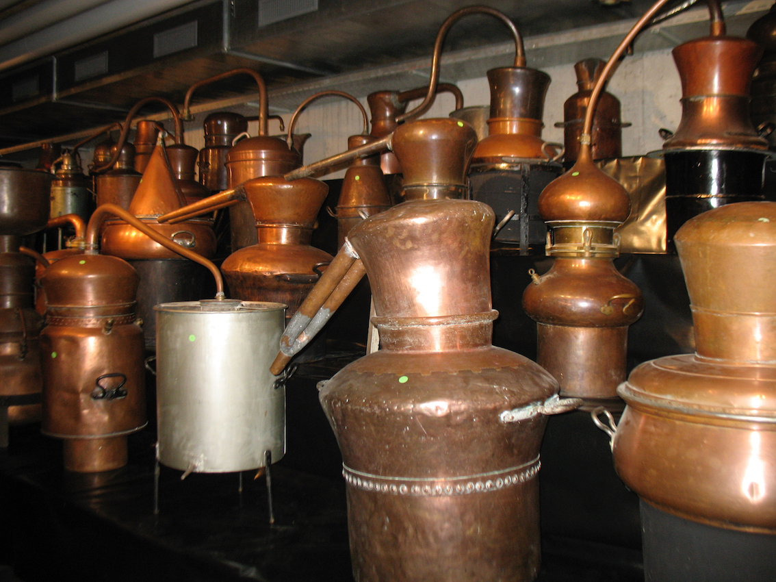 IMG 4504.JPG